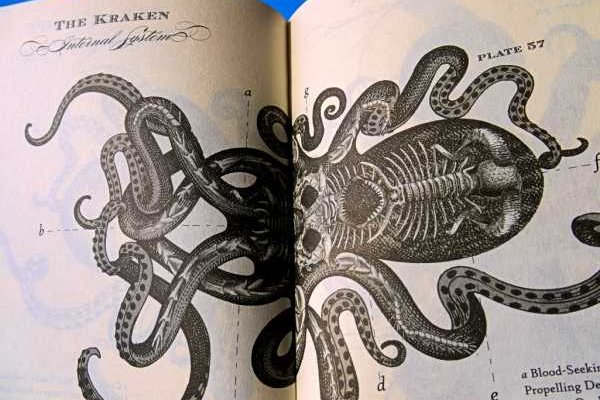 Как восстановить аккаунт на кракене даркнет