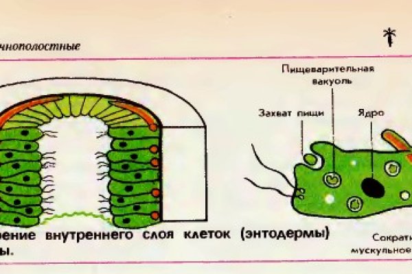 Кракен лег