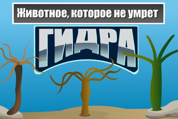 Кракен ссылка onion