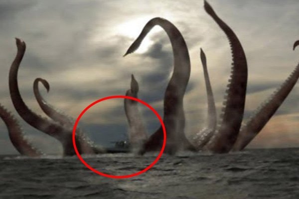 Kraken 23 at