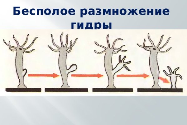 Кракен даркнет 2krnmarket