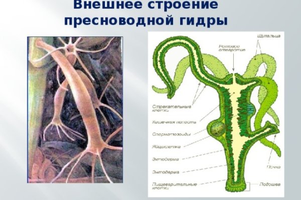 Ссылки на дарк нет