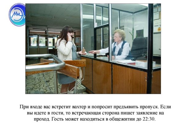 Что за приложение кракен