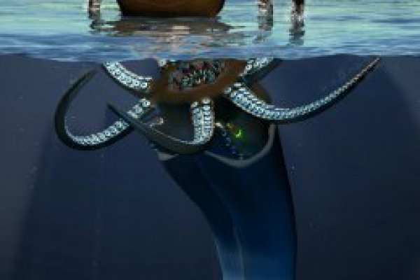 Kraken что это за магазин