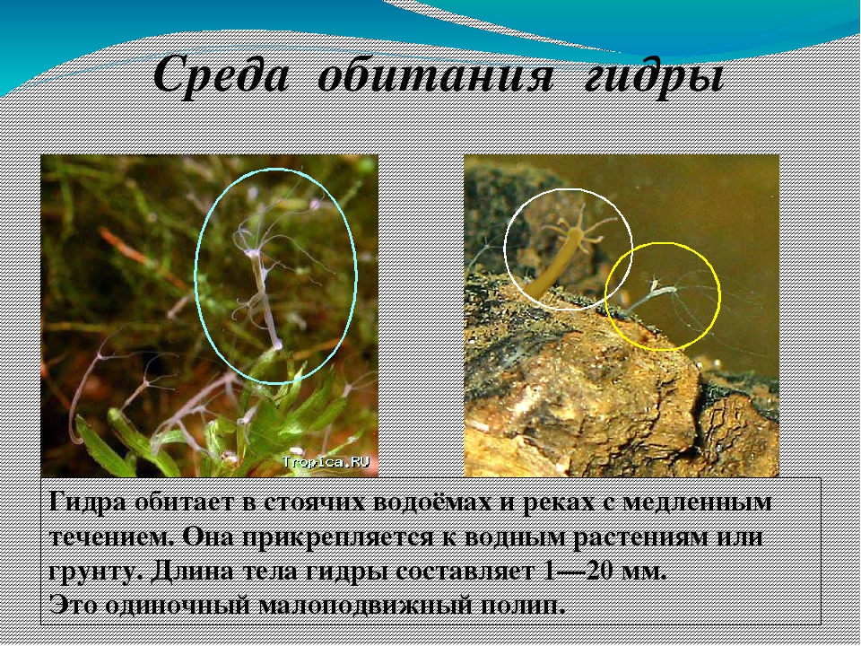 Кракен ссылка на сайт com