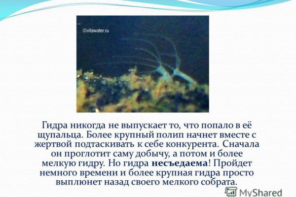 Оригинальная ссылка на кракен