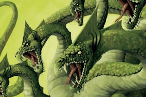 Kraken 19 at