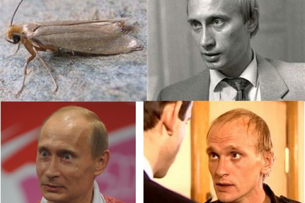 Кракен маркет онион