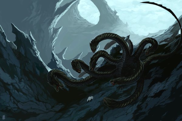 Как вывести деньги с kraken