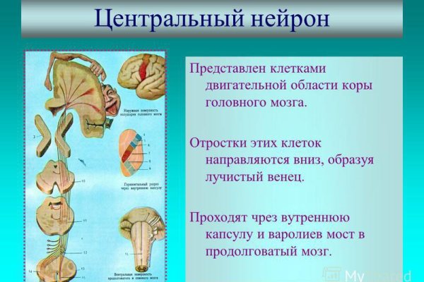 Почему не заходит на кракен