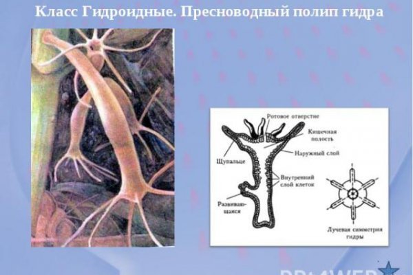 Кракен нар