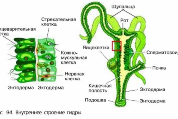 Кракен сайт вход kraken torion