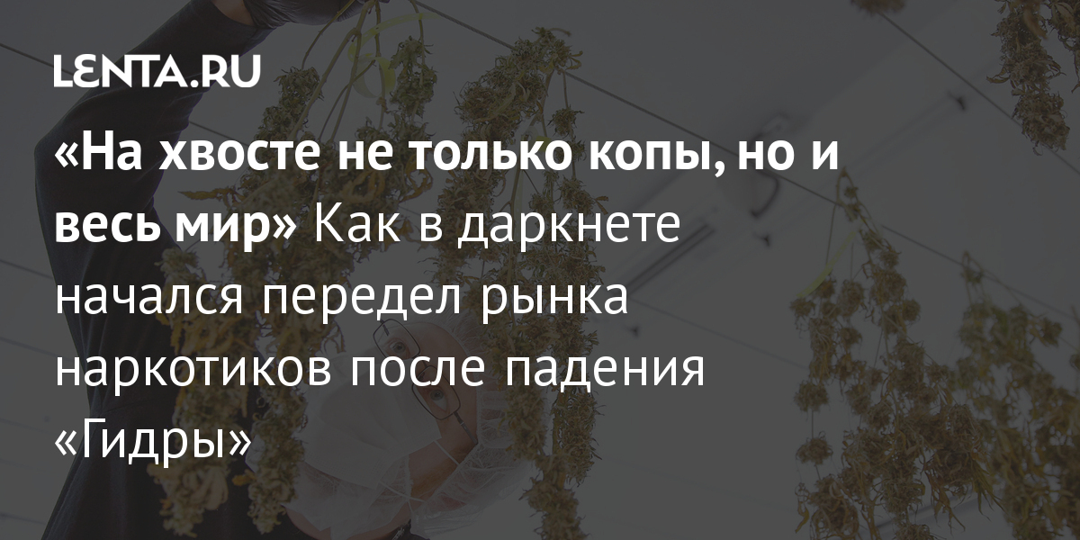 Каталог сайтов даркнет