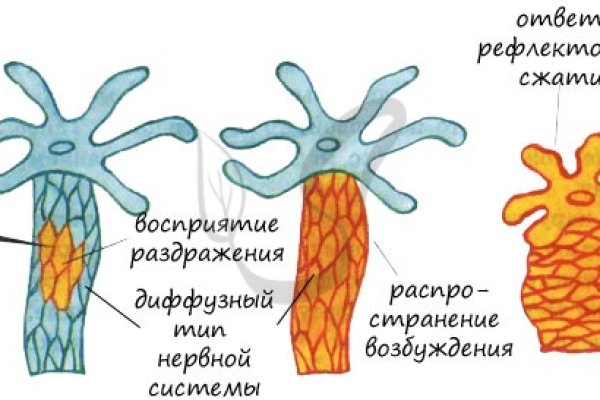 Каталог сайтов даркнет
