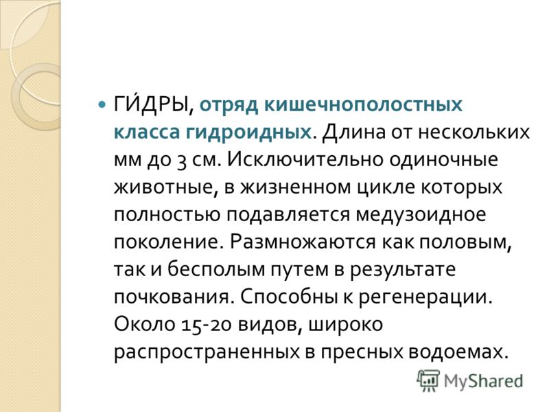 Кракен ссылка онион зеркало